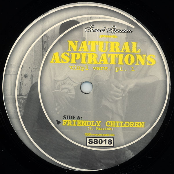Theo Parrish — Natural Aspirations (Vinyl Vers. Pt. 1) cover