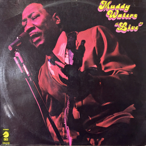 Muddy Waters — Live cover