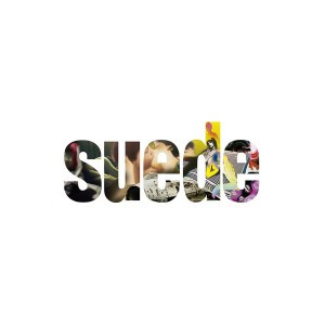 Suede — The Vinyl Collection cover